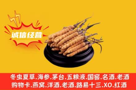 溆浦县回收冬虫夏草